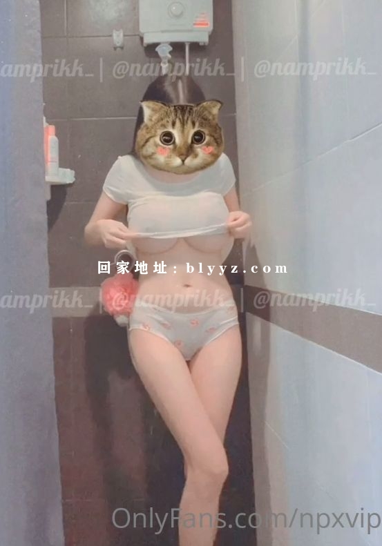 Onlyfans大奶牛博主Npxvip付费订阅福利视频写真资源流出 29.75G