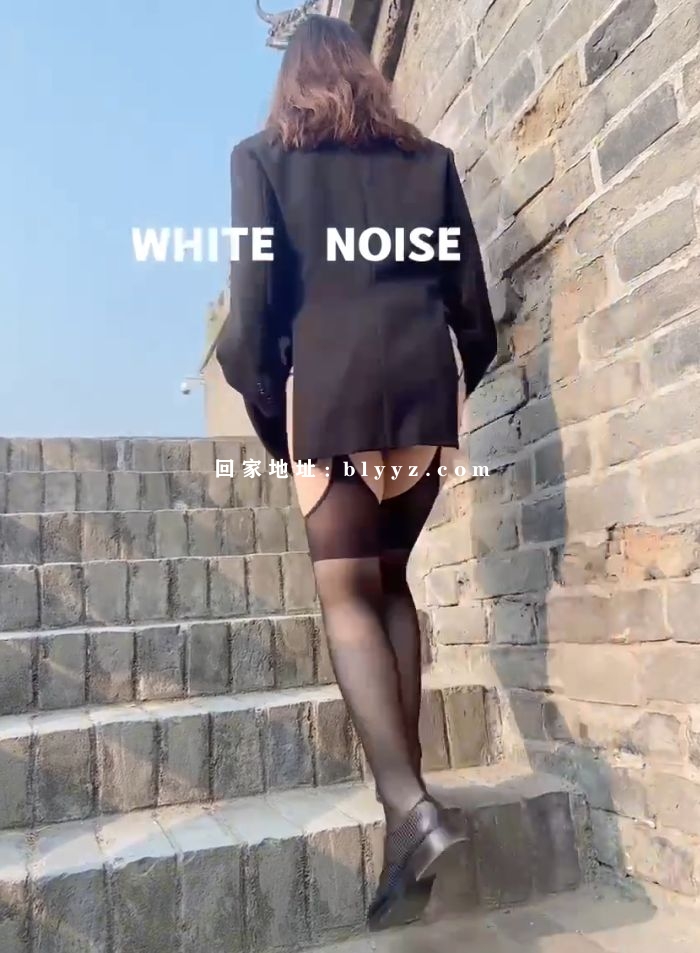 白噪音(white noise) 合集下载 37V/4.43G